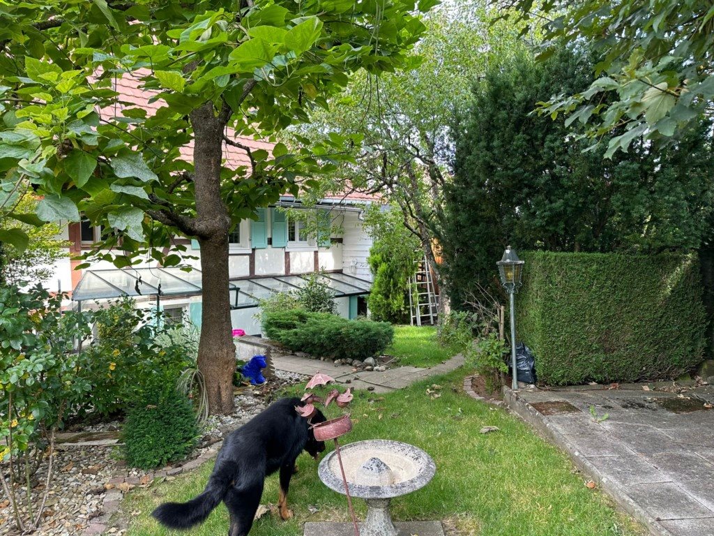 Maison à vendre, 1m², Brumath