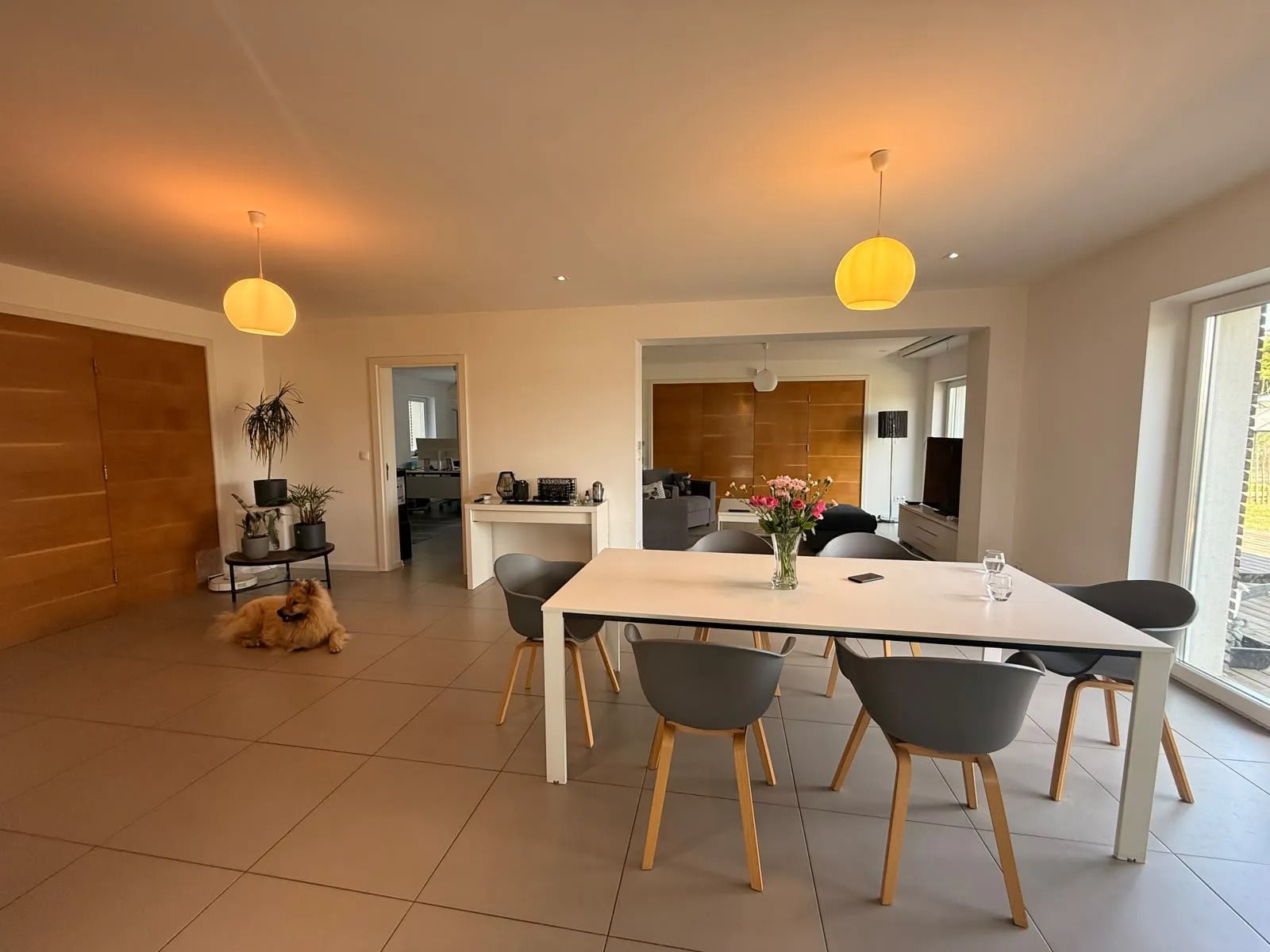 Maison à vendre, 330m², Steinbrunn-le-Bas