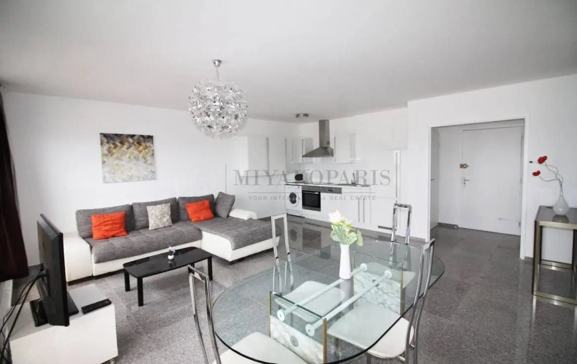 Appartement à louer, 52m², Paris 15ème