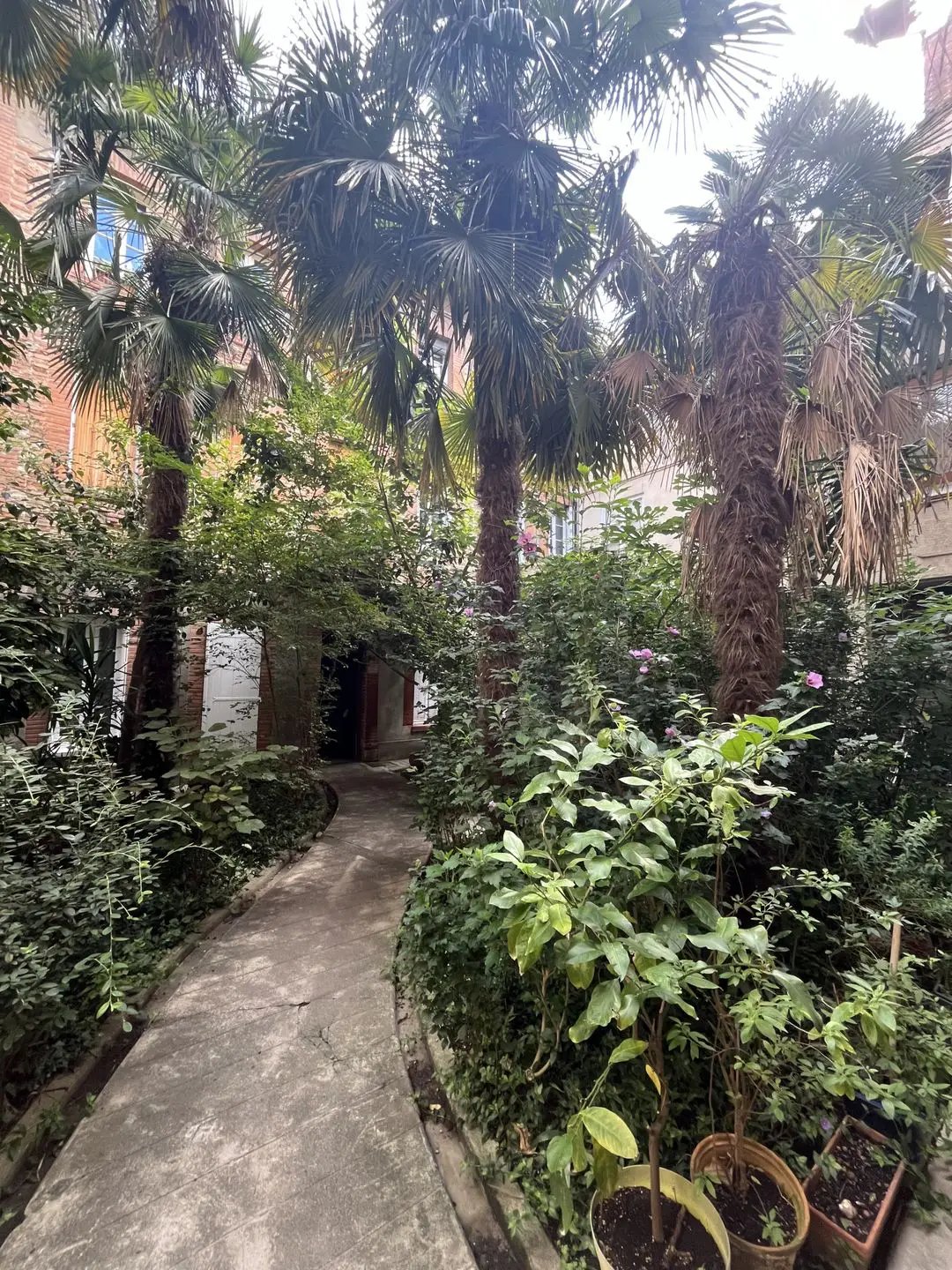 Appartement à louer, 36m², Toulouse