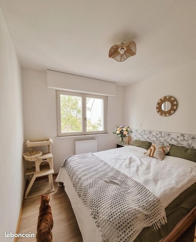Appartement à louer, 43m², Mulhouse