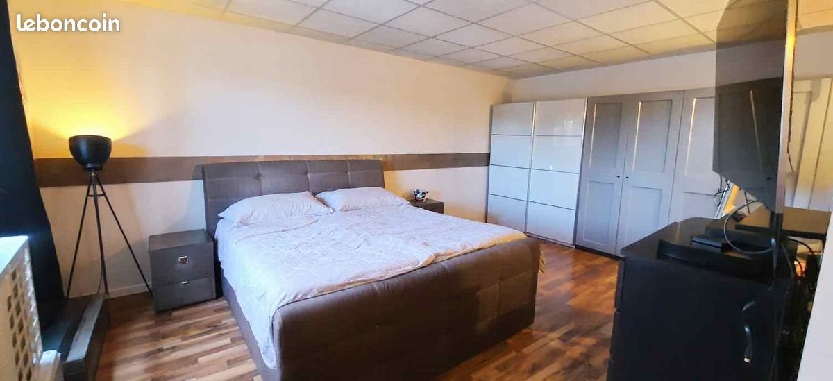 Appartement à vendre, 201m², Hégenheim