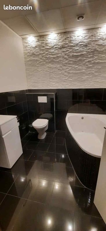 Appartement à vendre, 201m², Hégenheim