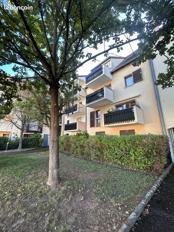 Appartement à louer, 33m², Lingolsheim