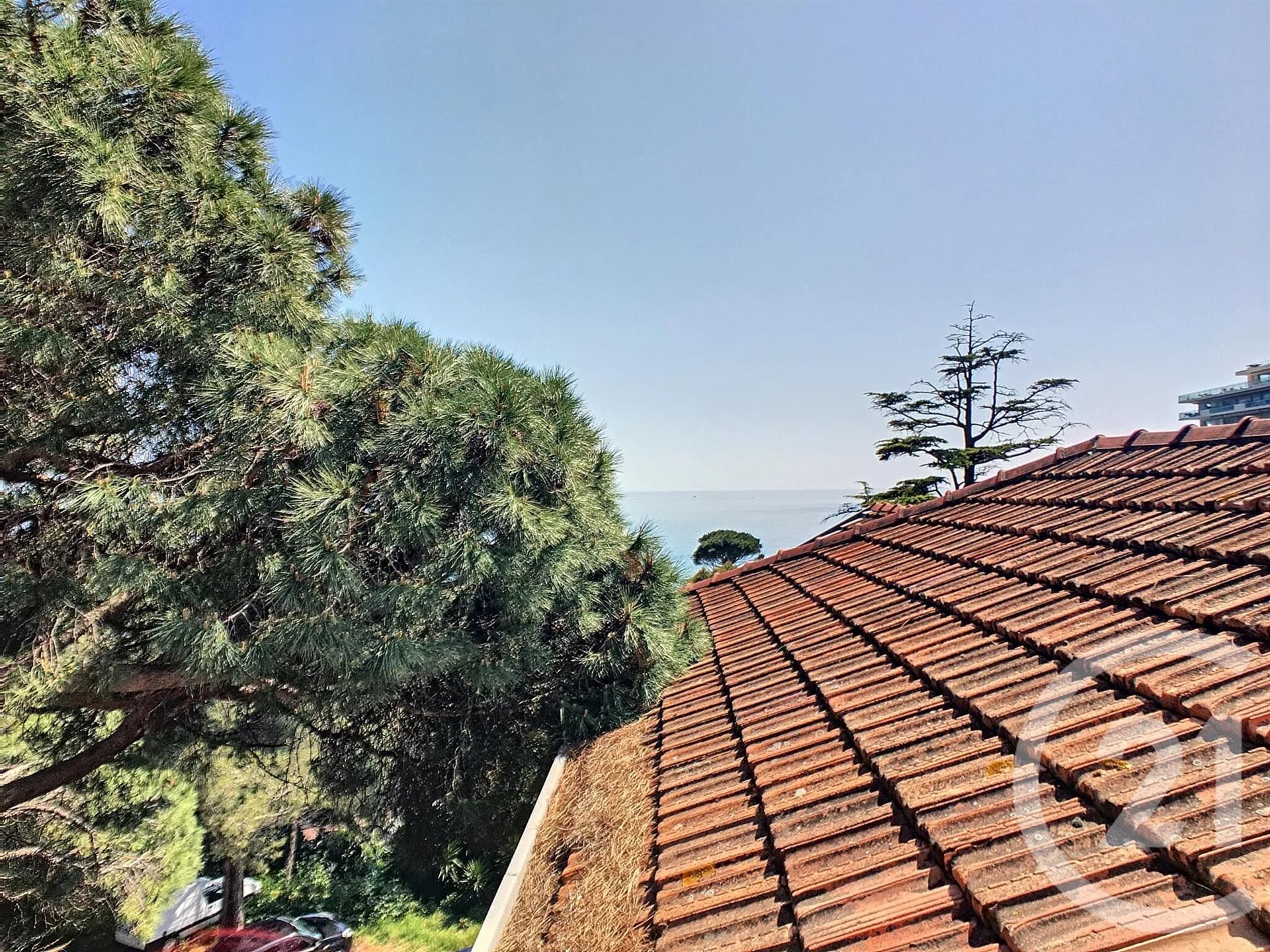 Appartement à louer, 23m², Cannes