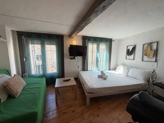 Appartement à vendre, 19m², Saint-Étienne