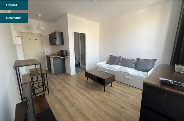 Appartement à louer, 20m², Saint-Etienne