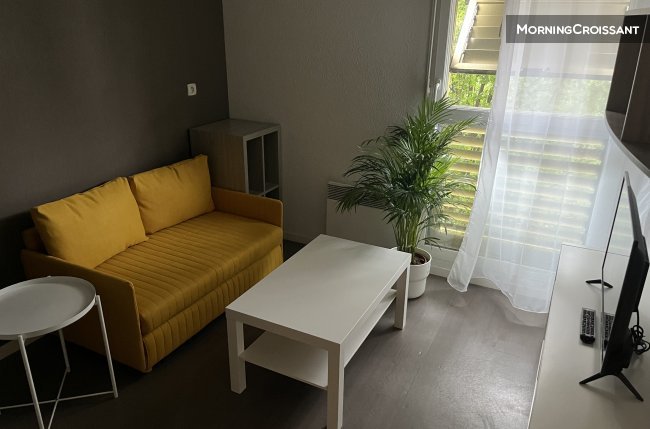 Appartement à louer, 31m², Toulouse