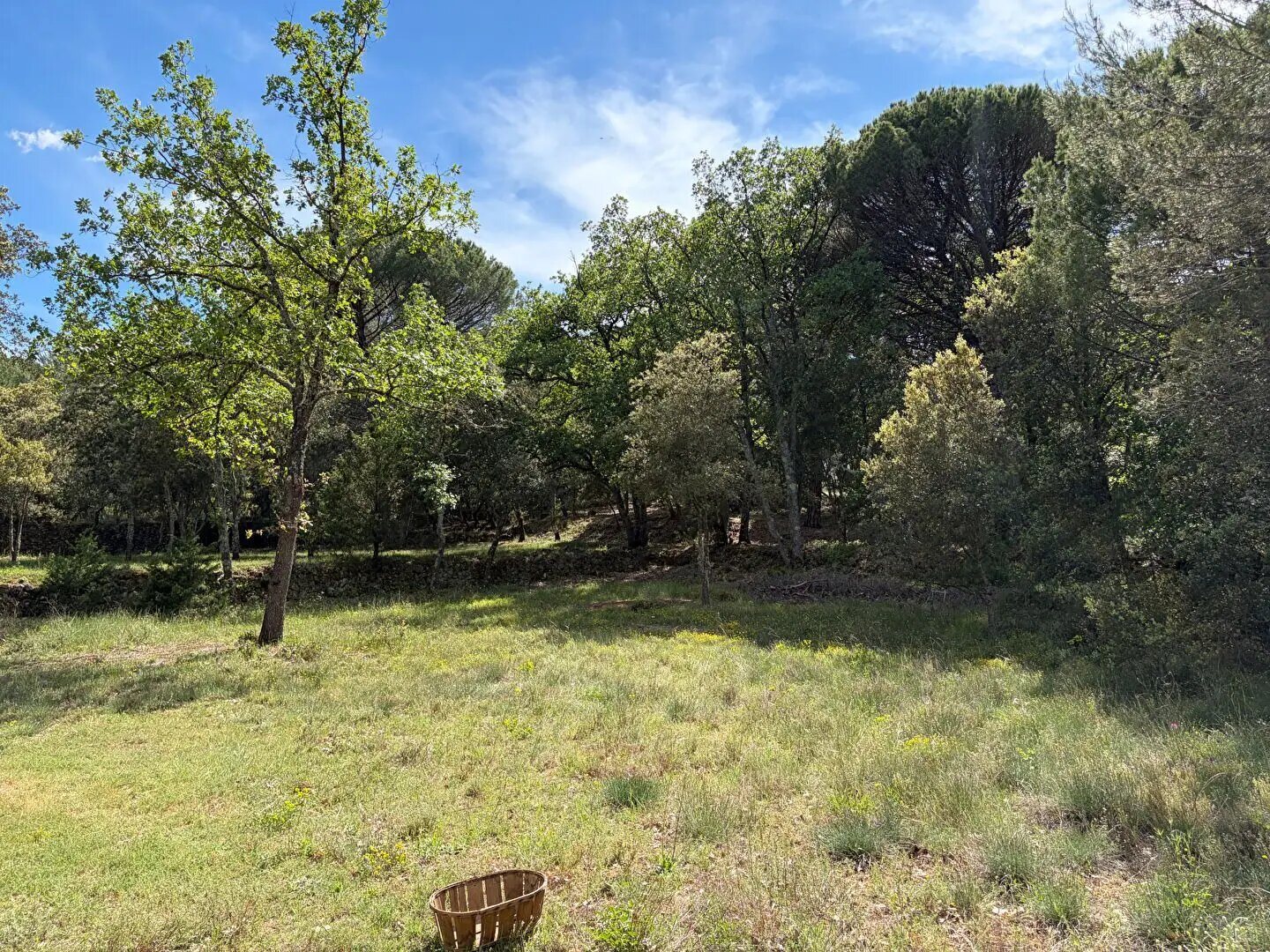 Maison à vendre, 68m², Jouques