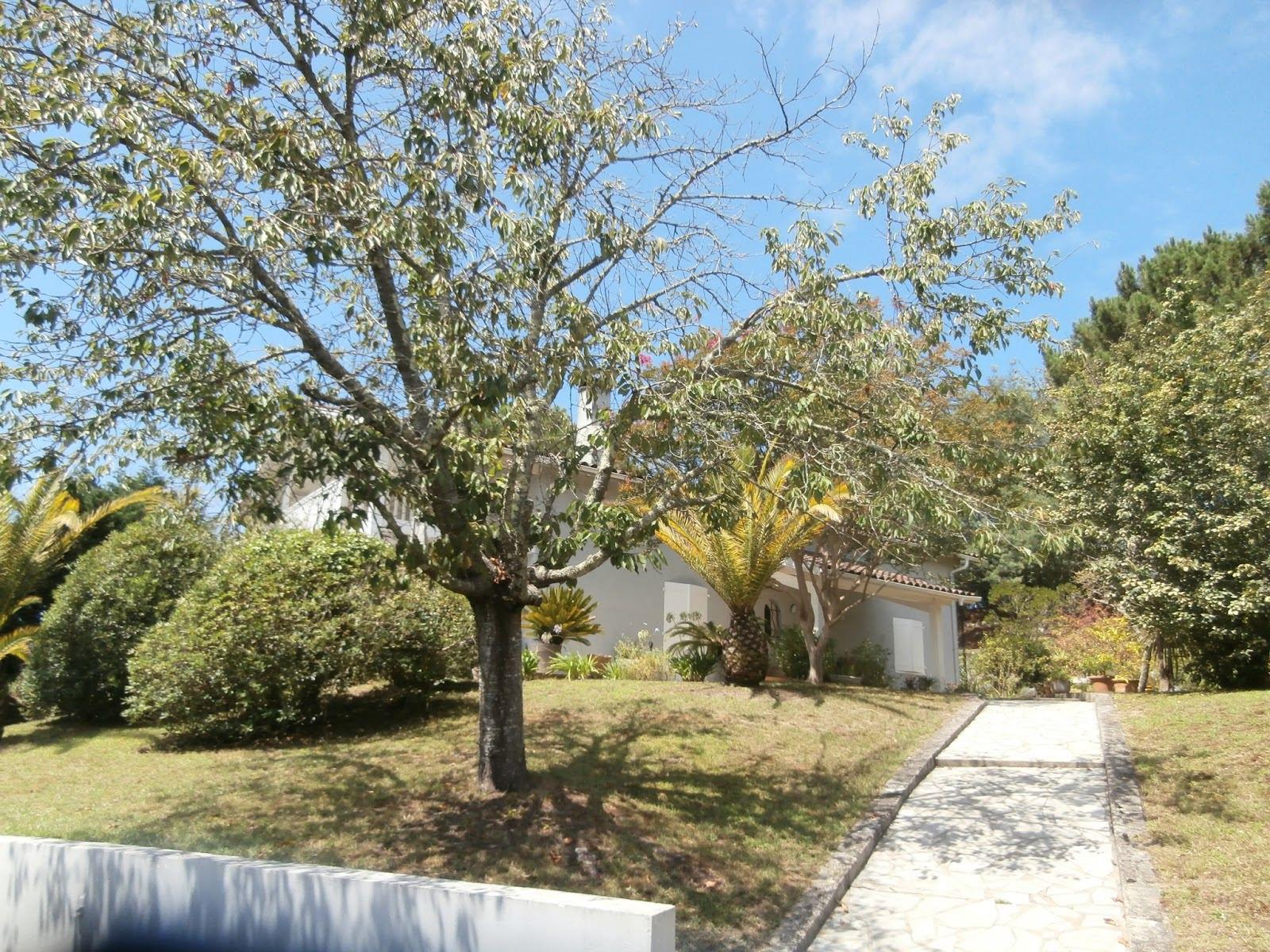 Maison à vendre, 163m², Labenne