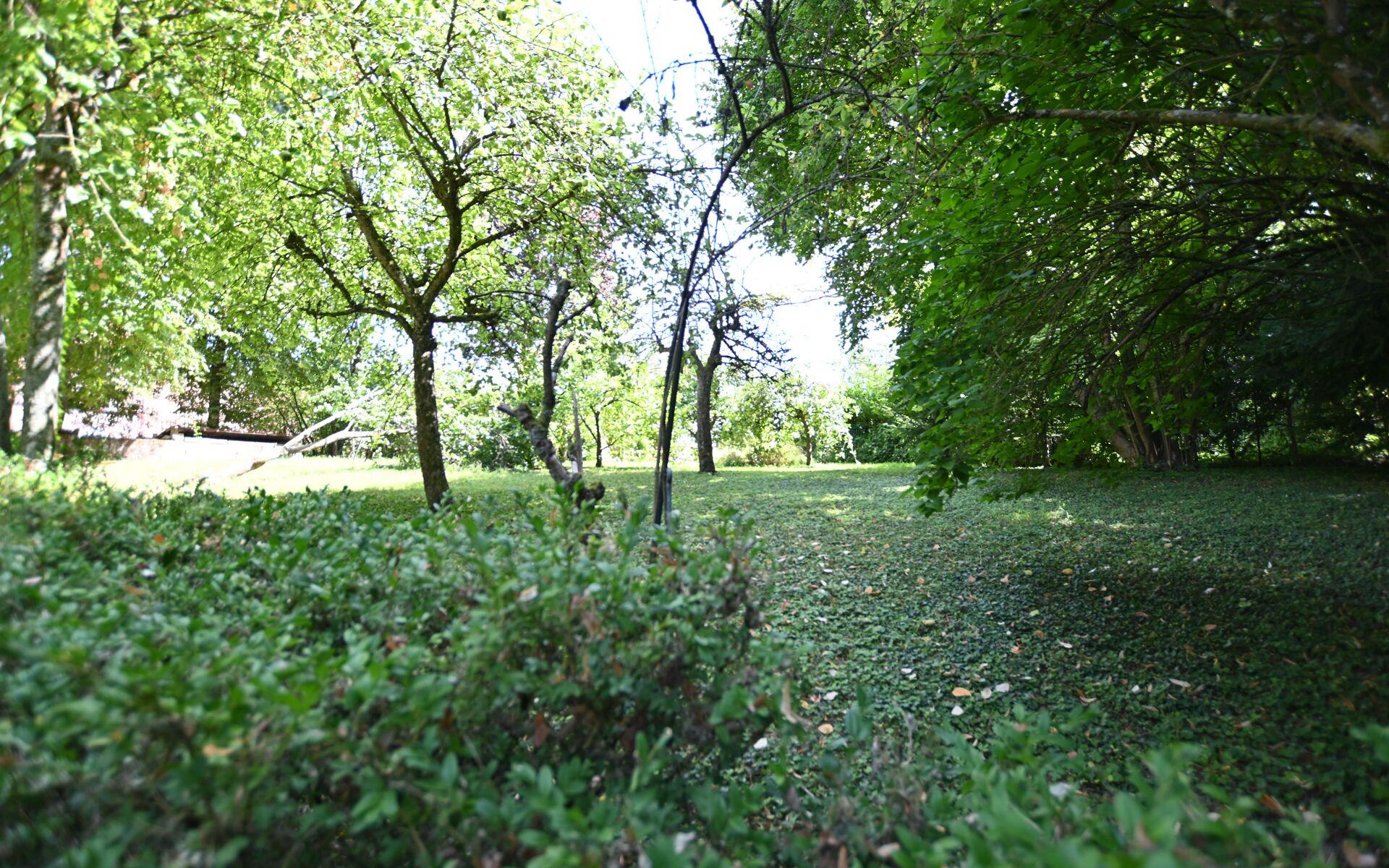 Maison à vendre, 262m², Auxi-le-Château