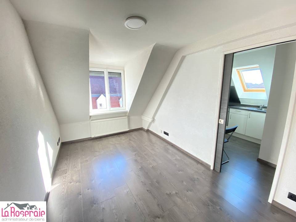 Appartement à louer, 25m², Cernay