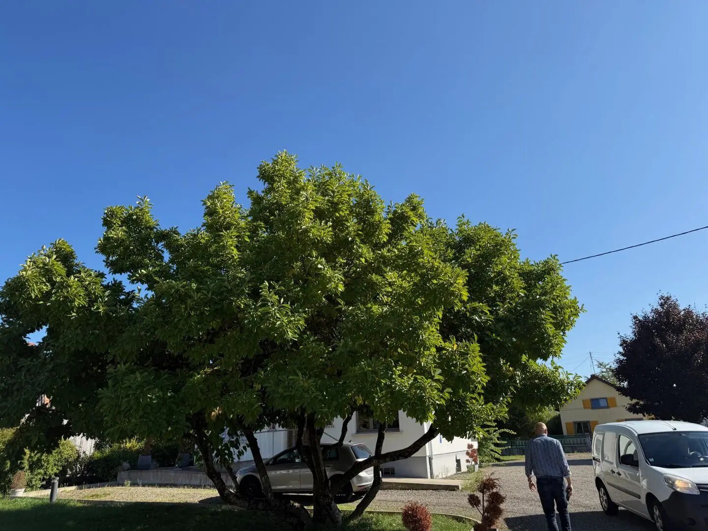 Maison à vendre, 124m², Bartenheim