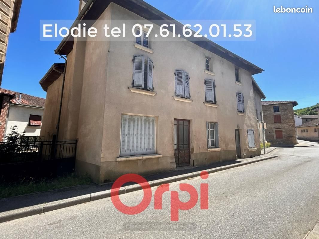 Maison à vendre, 275m², Lens-Lestang