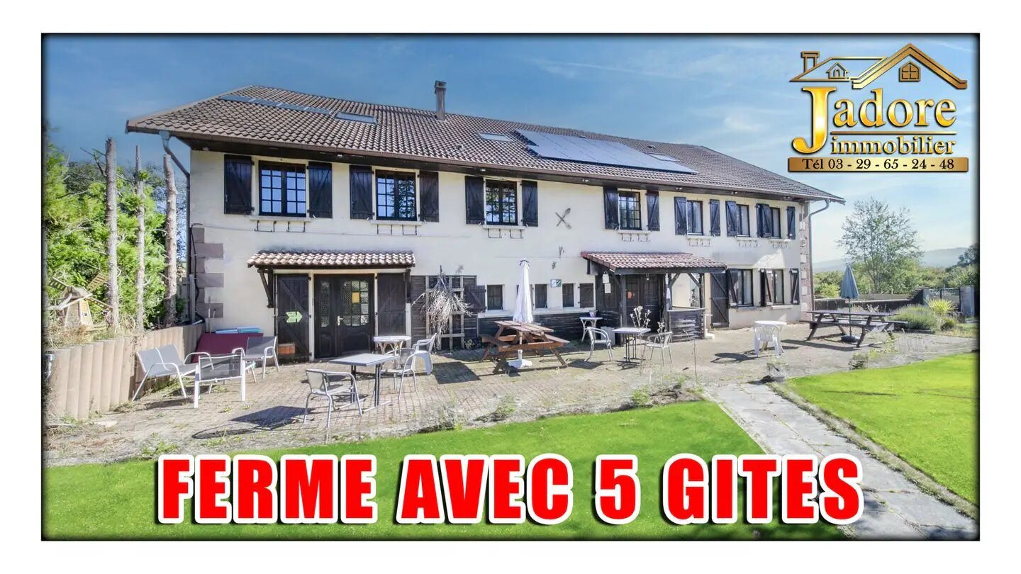 Maison à vendre, 455m², Saint-Dié-des-Vosges