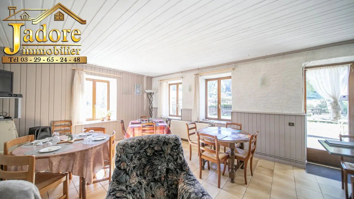 Maison à vendre, 455m², Saint-Dié-des-Vosges