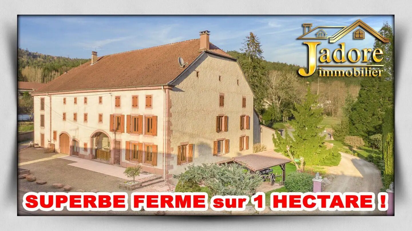 Maison à vendre, 192m², Moyenmoutier