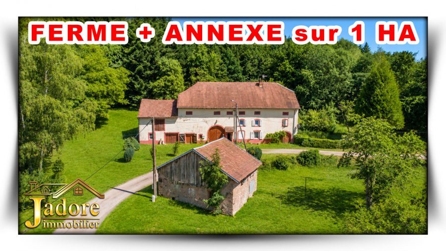 Maison à vendre, 132m², Moyenmoutier