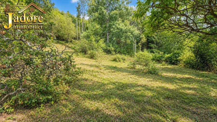 Maison à vendre, 384m², Plainfaing