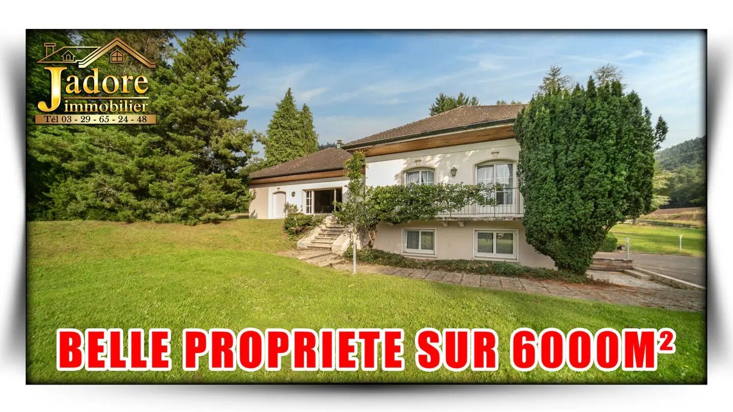 Maison à vendre, 250m², Saint-Dié-des-Vosges