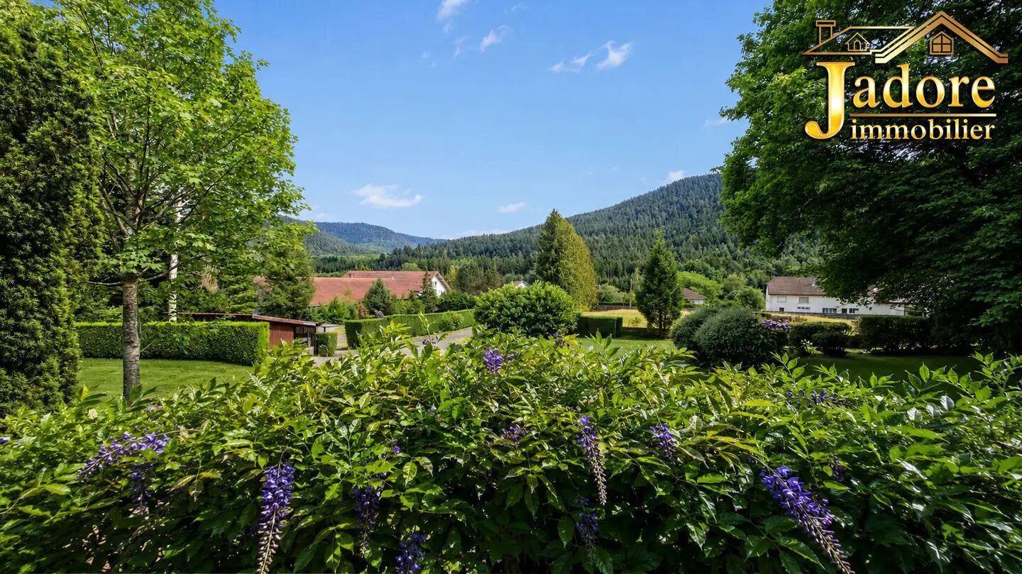 Maison à vendre, 250m², Saint-Dié-des-Vosges