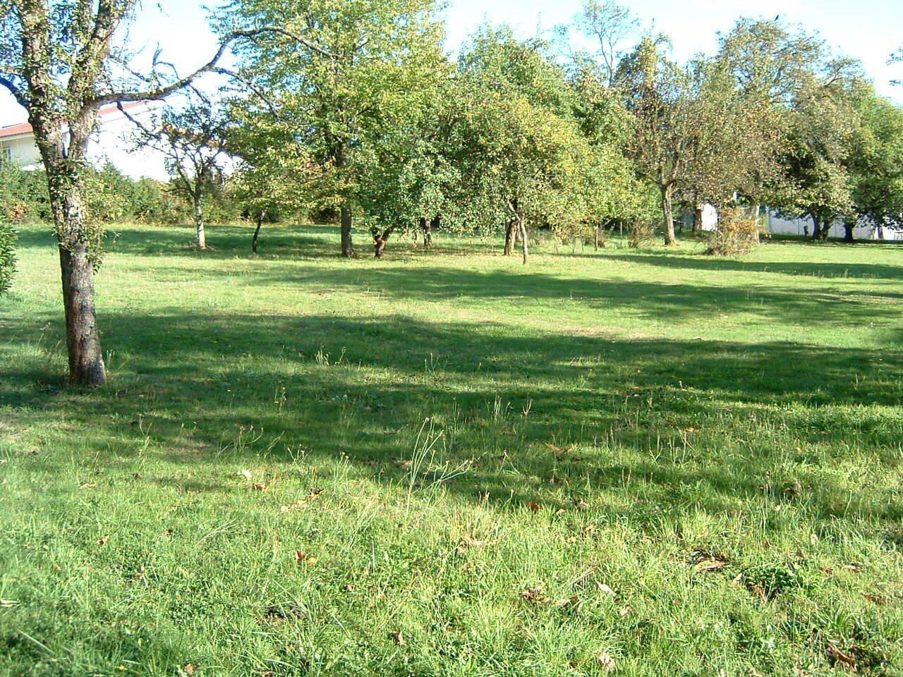 Maison à vendre, 350m², Saint-Dié-des-Vosges