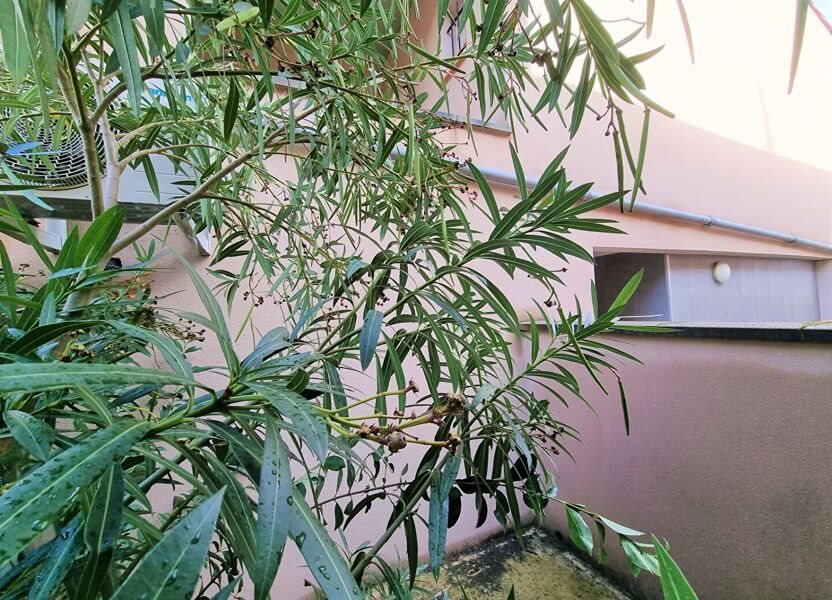 Appartement à louer, 34m², Albi