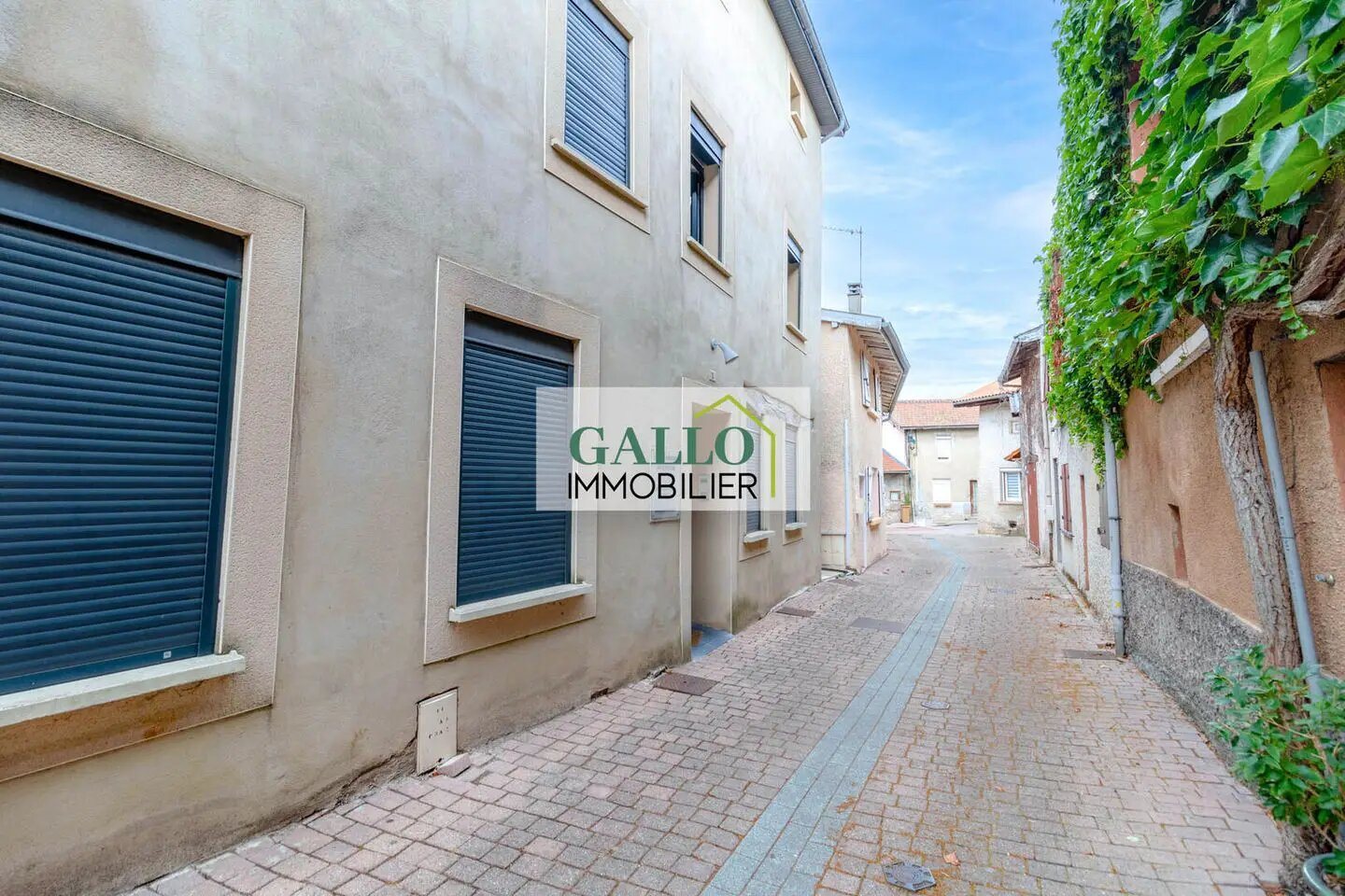 Appartement à vendre, 37m², Saint-Georges-d'Espéranche