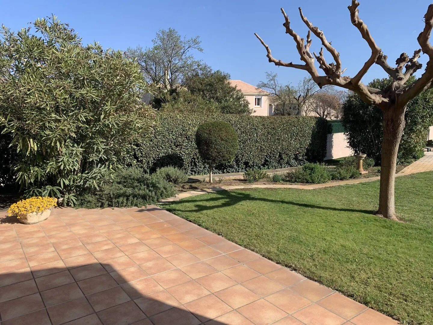 Maison à louer, 176m², Saint-Jean-de-Védas