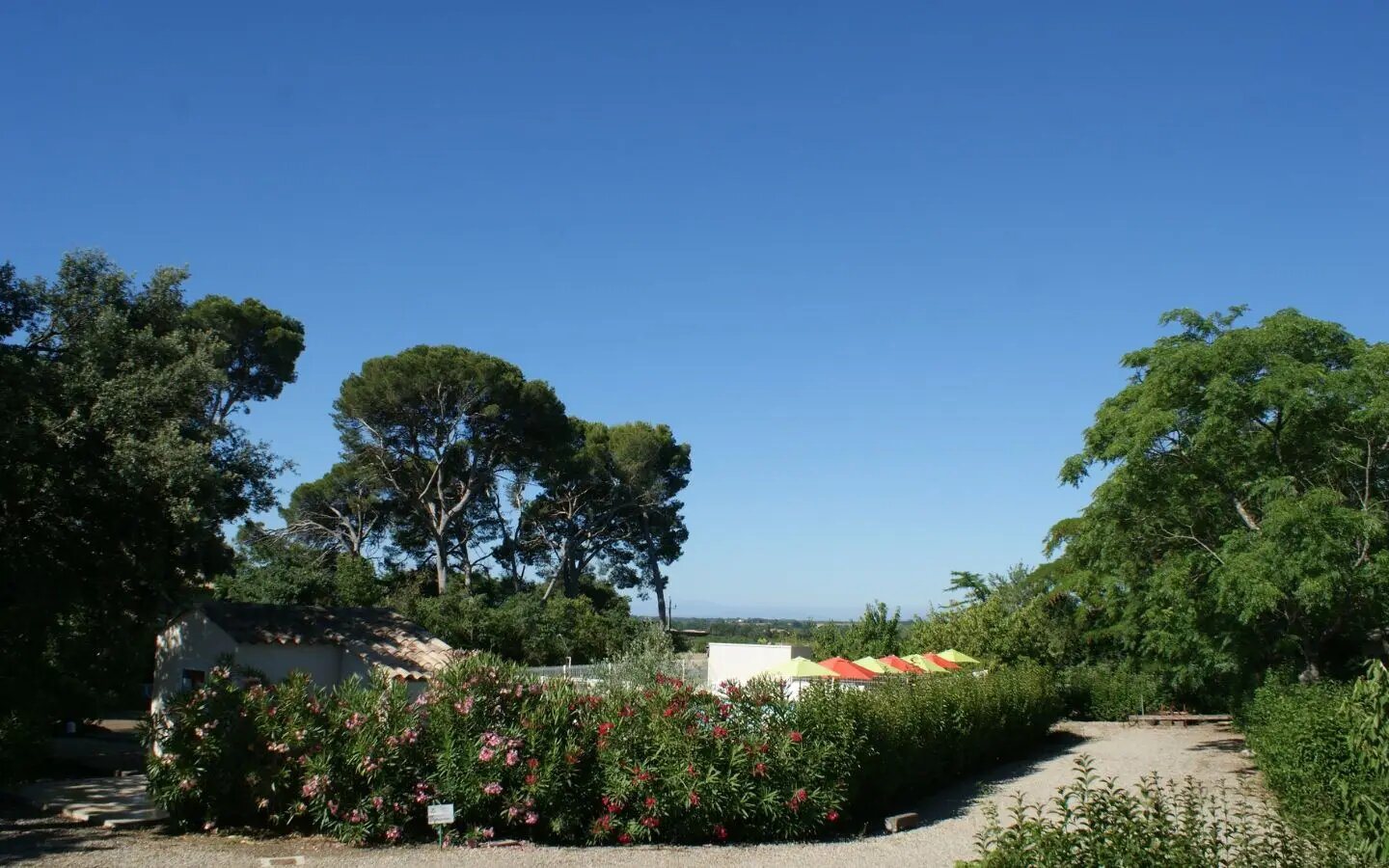 Maison à vendre, 848m², Vias