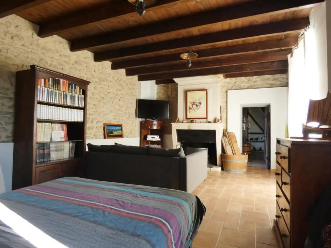 Maison à vendre, 300m², Cartelègue