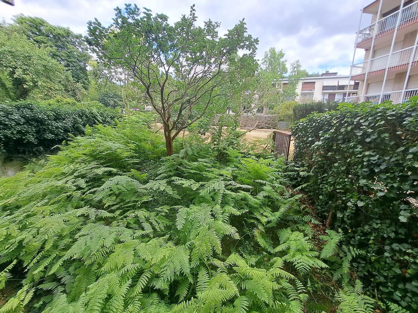 Appartement à vendre, 68m², Saint-Germain-en-Laye