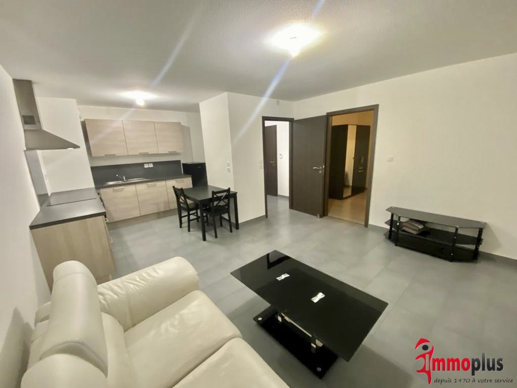Appartement à louer, 44m², Hégenheim