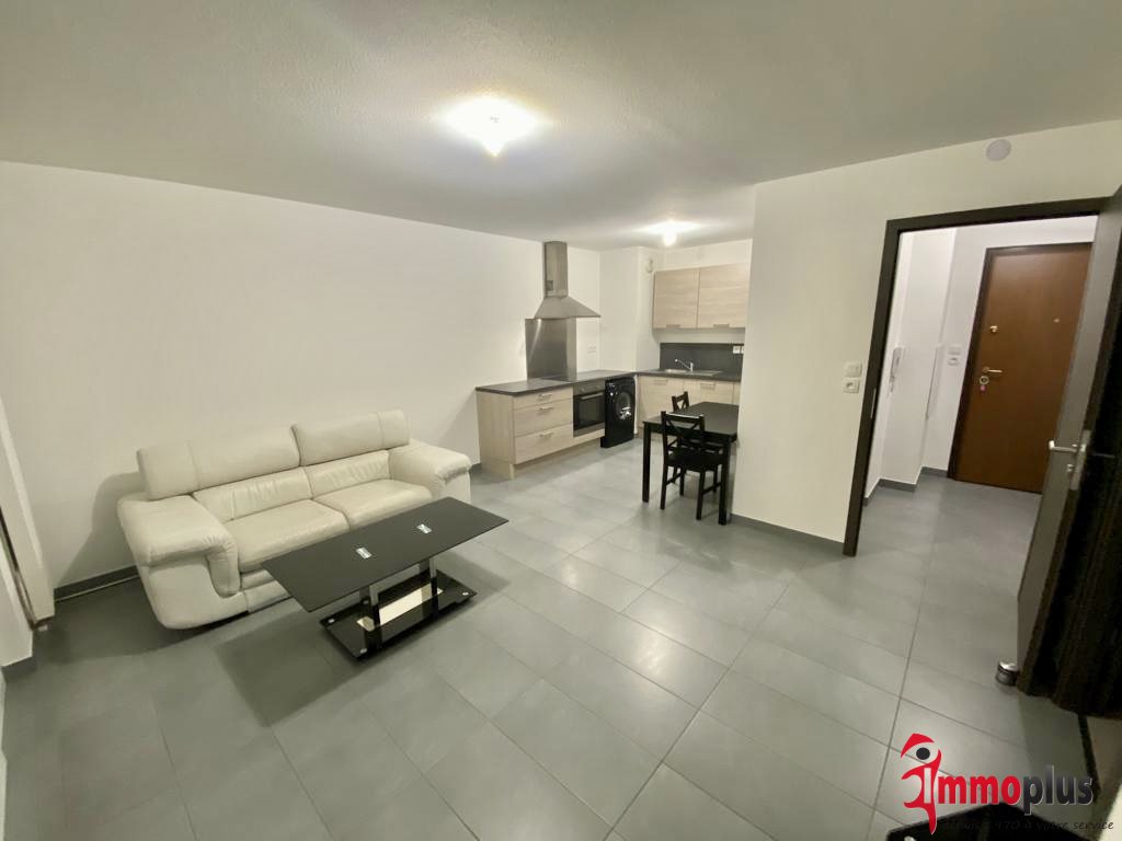 Appartement à louer, 44m², Hégenheim