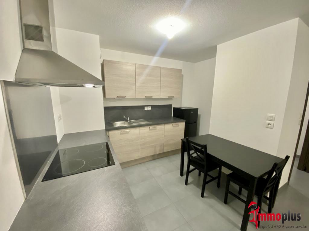 Appartement à louer, 44m², Hégenheim