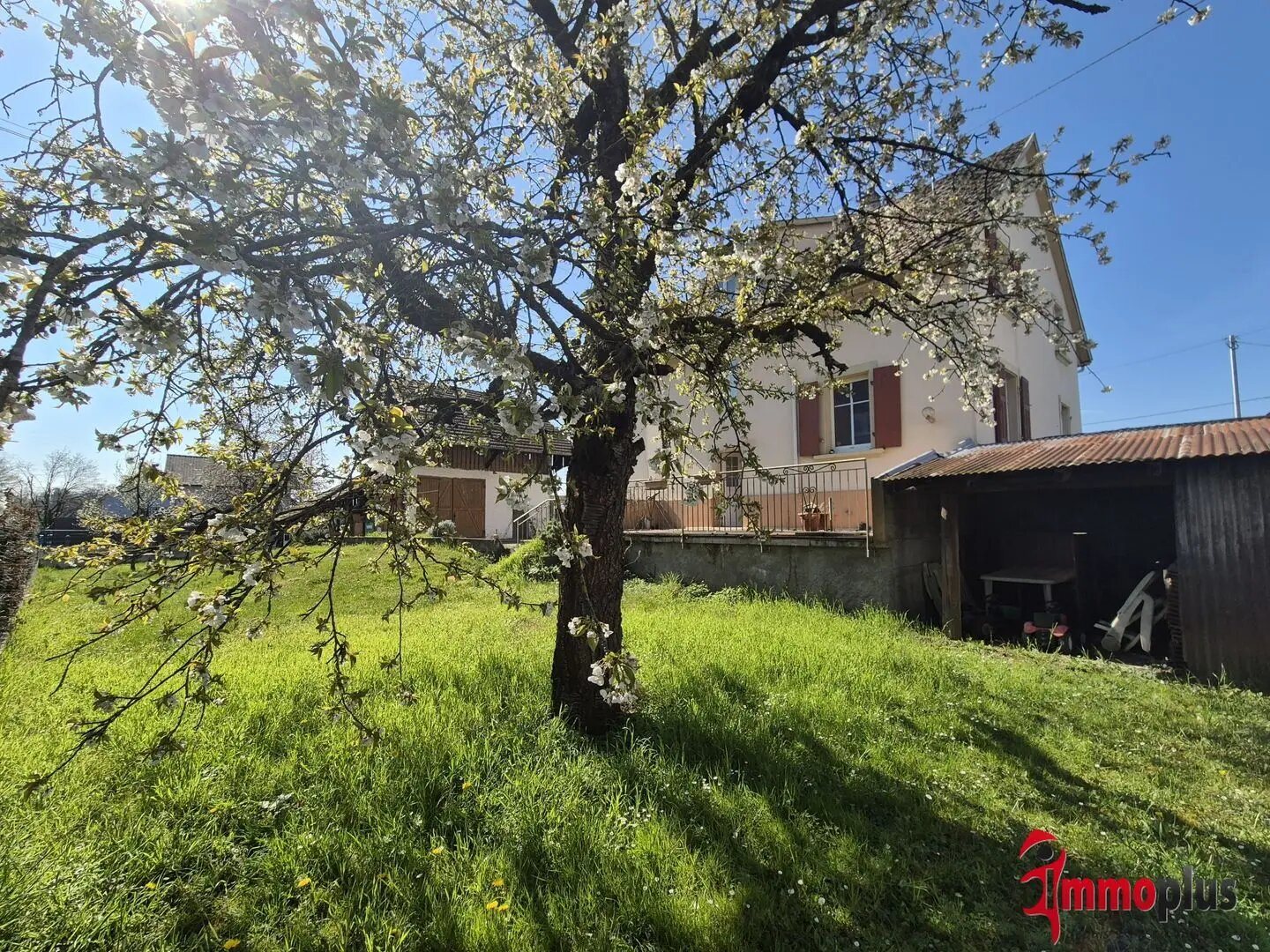 Maison à vendre, 160m², Kembs