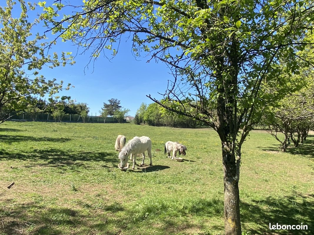 Maison à vendre, 243m², Vernéville