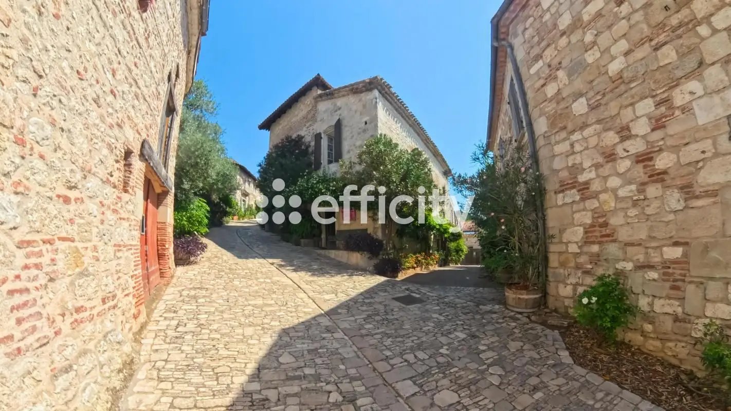 Maison à vendre, 265m², Penne-d'Agenais