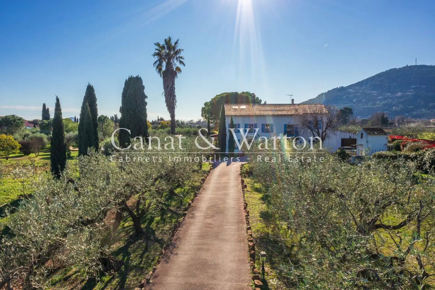 Maison à vendre, 418m², Solliès-Pont