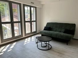 Appartement à louer, 26m², Epinal