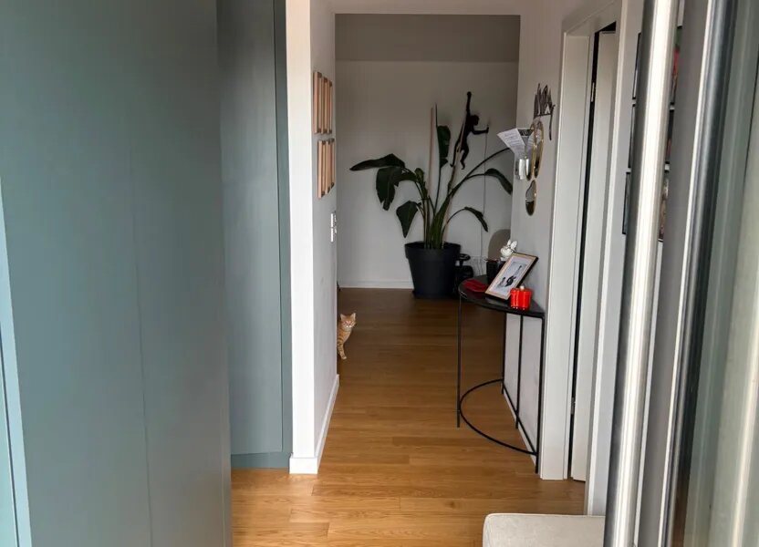 Appartement à louer, 63m², Colmar