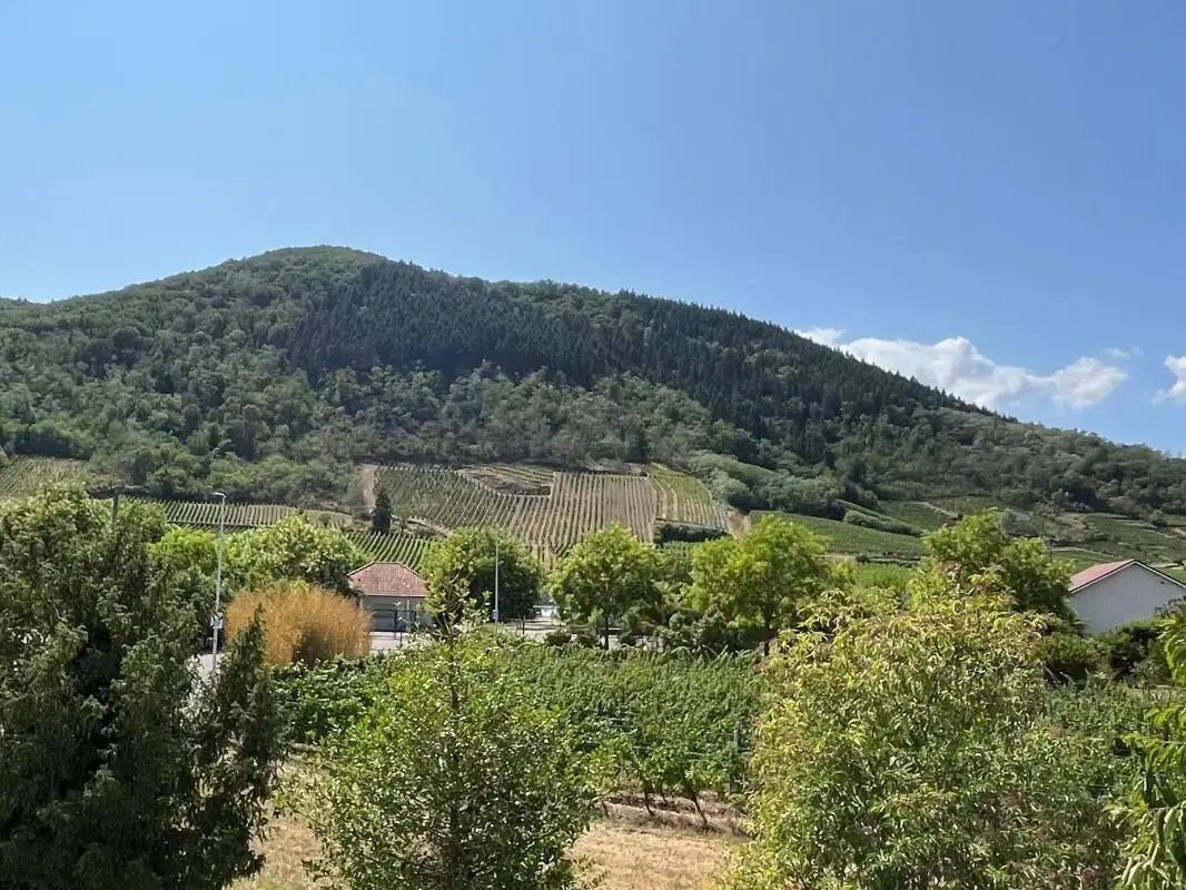 Maison à vendre, 159m², Wintzenheim