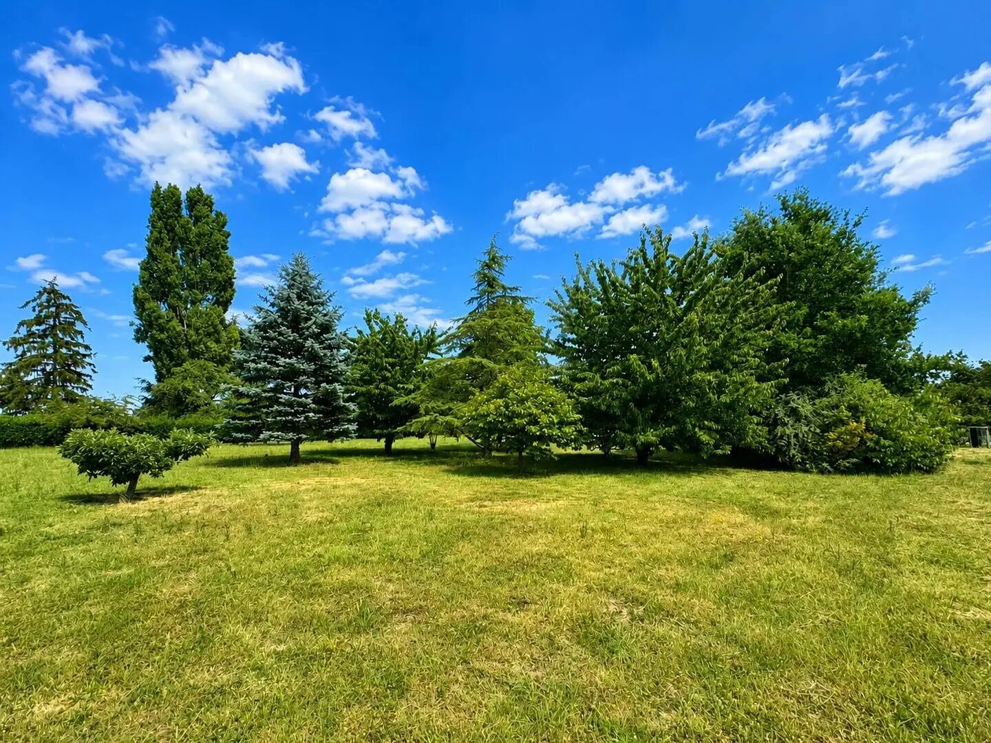 Maison à vendre, 155m², Saumur