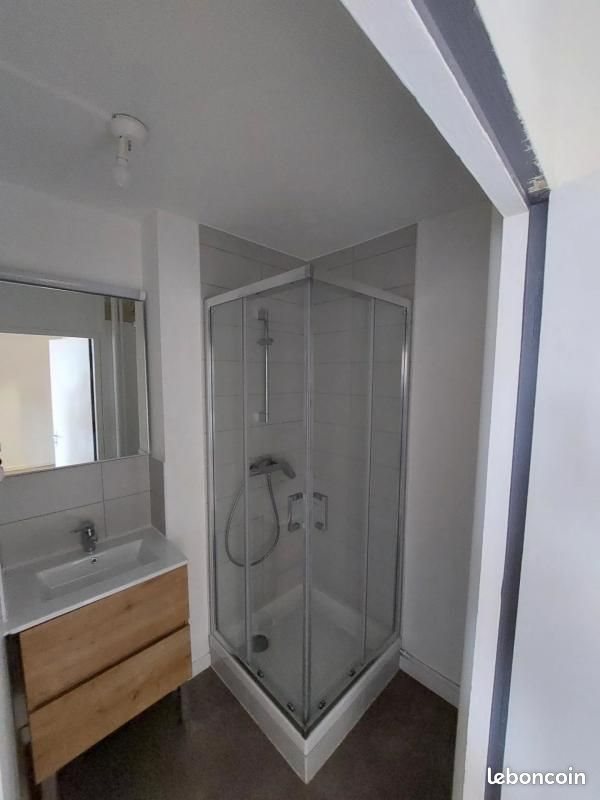 Appartement à louer, 41m², Saint-Étienne