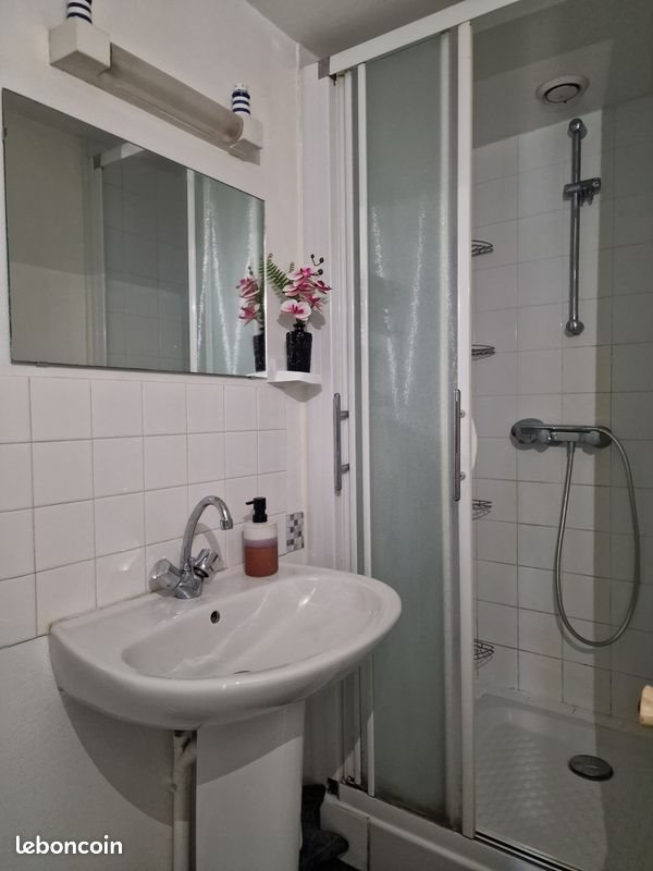 Appartement à louer, 52m², Châteauneuf-sur-Loire
