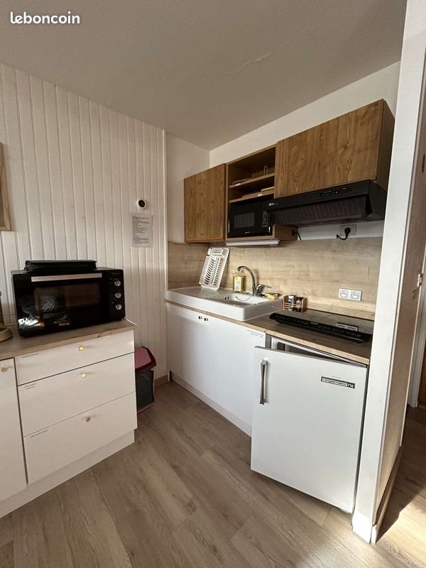 Appartement à vendre, 28m², Besse-et-Saint-Anastaise