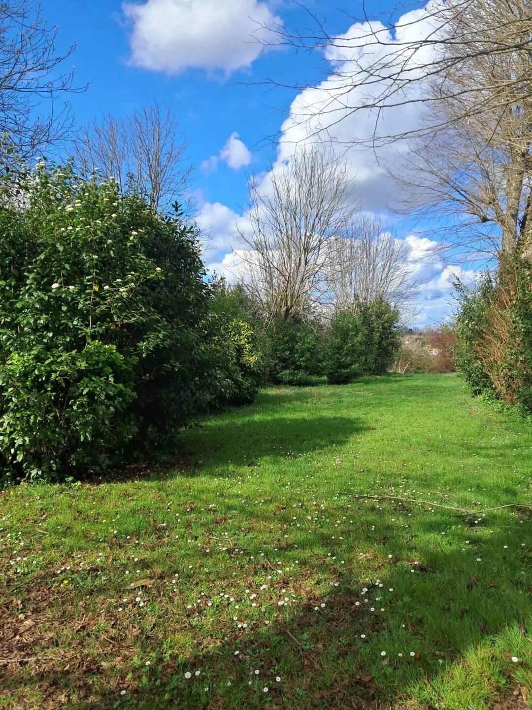 Maison à vendre, 250m², Baurech
