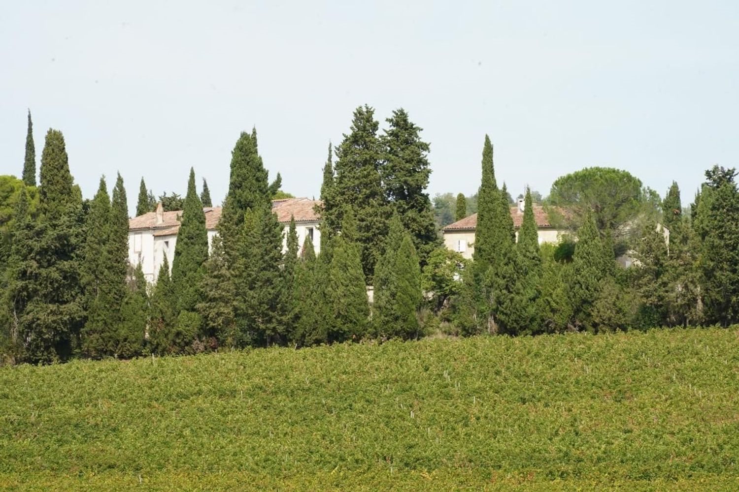 Maison à vendre, 700m², Pauligne