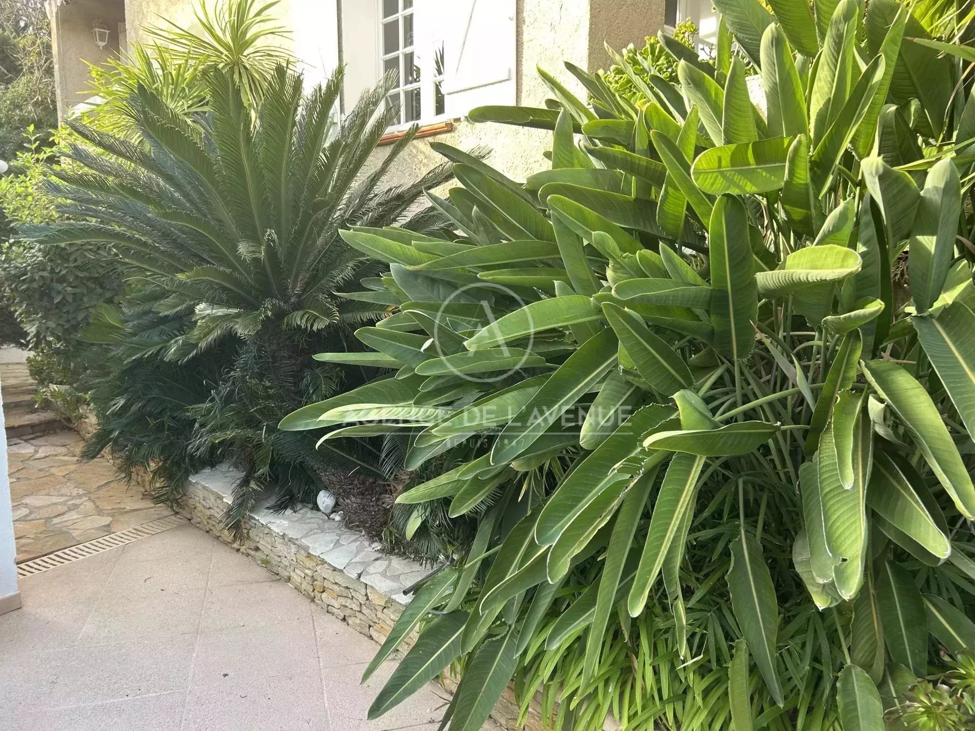 Appartement à vendre, 200m², La Seyne-sur-Mer
