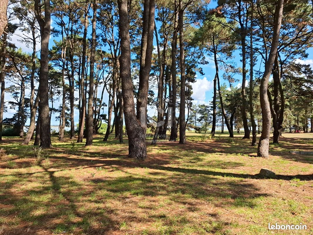 Maison à vendre, 200m², Paimboeuf